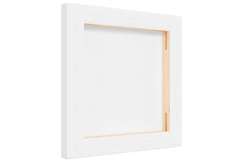 vidaXL 154963 Stretched Canvases 12 Pcs White Fabric And Solid Wood Pine vidaXL 154963 Stretched Canvases 12 Pcs White Fabric And Solid Wood Pine