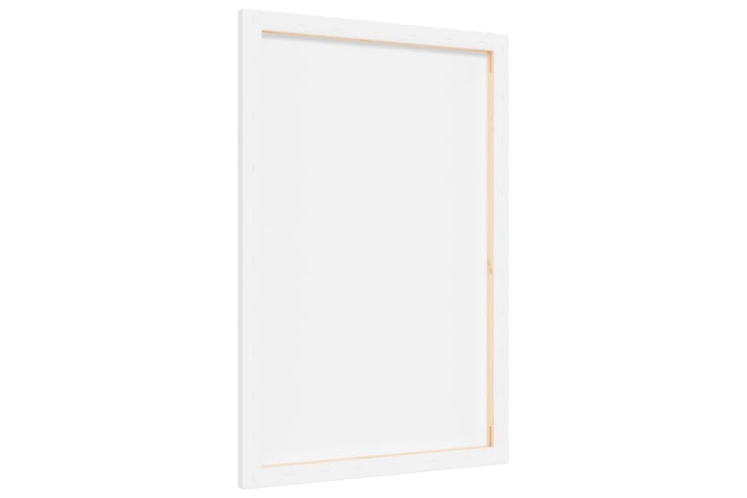 vidaXL 154971 Stretched Canvases 12 Pcs White Fabric And Solid Wood Pine vidaXL 154971 Stretched Canvases 12 Pcs White Fabric And Solid Wood Pine