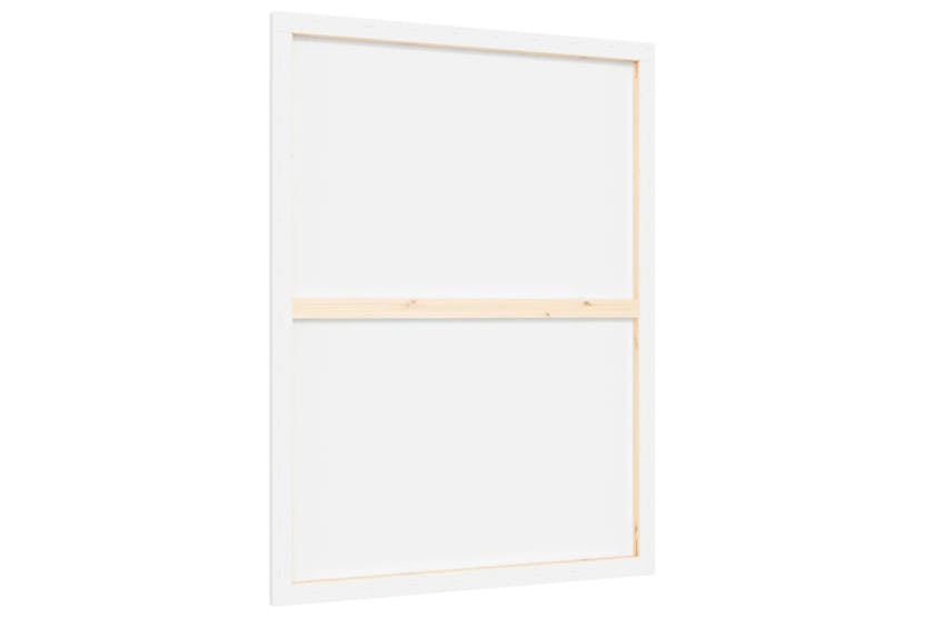 vidaXL 154974 Stretched Canvases 12 Pcs White Fabric And Solid Wood Pine vidaXL 154974 Stretched Canvases 12 Pcs White Fabric And Solid Wood Pine