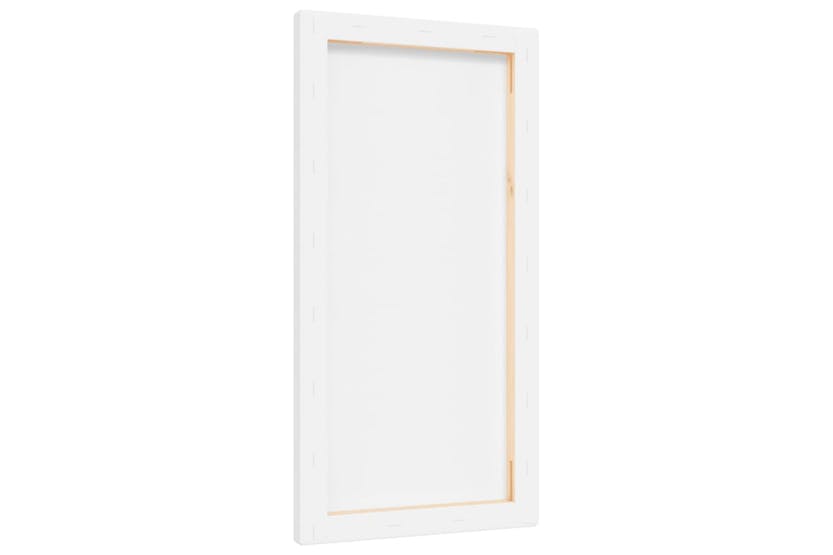 vidaXL 154967 Stretched Canvases 12 Pcs White Fabric And Solid Wood Pine vidaXL 154967 Stretched Canvases 12 Pcs White Fabric And Solid Wood Pine