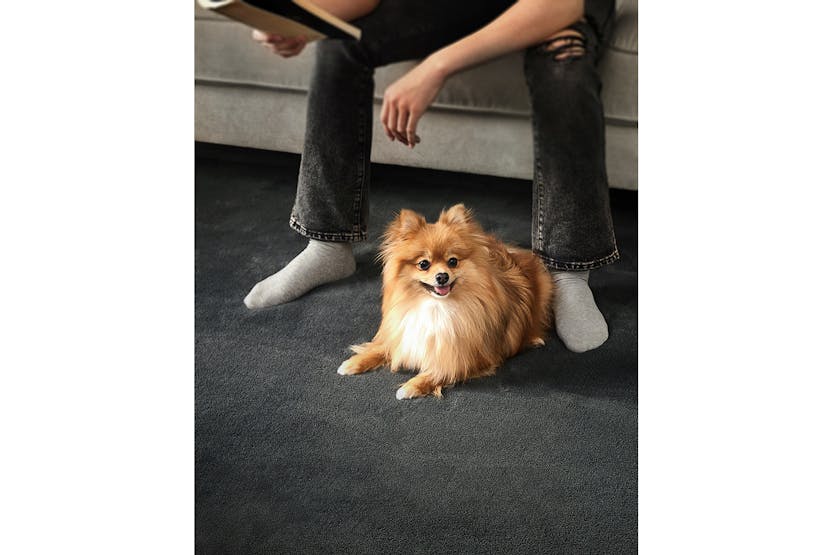 Songmics | Area Rug | Grey | 120 x 170 cm Songmics | Area Rug | Grey | 120 x 170 cm