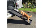 RayGar Pet Ramp Folding & Lightweight | Grey RayGar Pet Ramp Folding & Lightweight | Grey