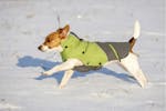 Kerbl Pet Ker-81410 - Outdoor Dog Coat Vancouver Green/grey, Kerbl Pet Ker-81410 - Outdoor Dog Coat Vancouver Green/grey,