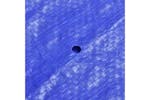 Vidaxl Pool Cover For 300 Cm Round Above-ground Pools Vidaxl Pool Cover For 300 Cm Round Above-ground Pools