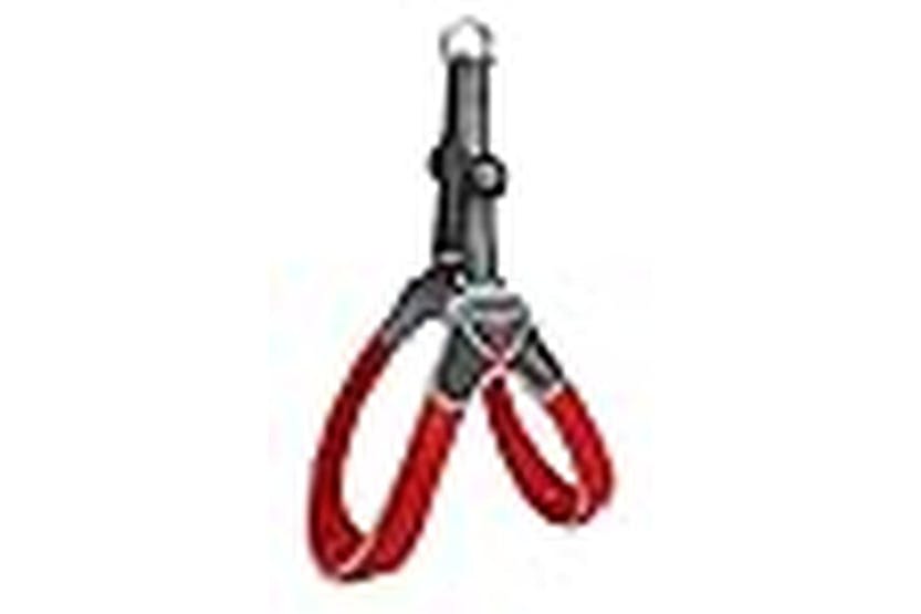 Coralpina Pei-261142 - Coralpina Harness Cinquetorri Red Siz Coralpina Pei-261142 - Coralpina Harness Cinquetorri Red Siz