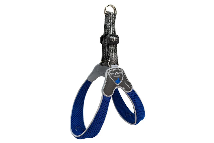 Coralpina Pei-261131 - Coralpina Harness Cinquetorri Electri Coralpina Pei-261131 - Coralpina Harness Cinquetorri Electri