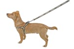 Kerbl Pet Ker-80271 - Harness Wild Life Brwon, 50-80cm/25mm Kerbl Pet Ker-80271 - Harness Wild Life Brwon, 50-80cm/25mm