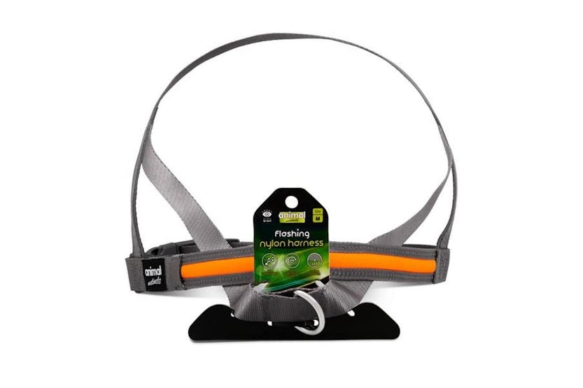 Pedigree Wholesale Ltd Pei-265553 - Animal Instincts Flashin Pedigree Wholesale Ltd Pei-265553 - Animal Instincts Flashin