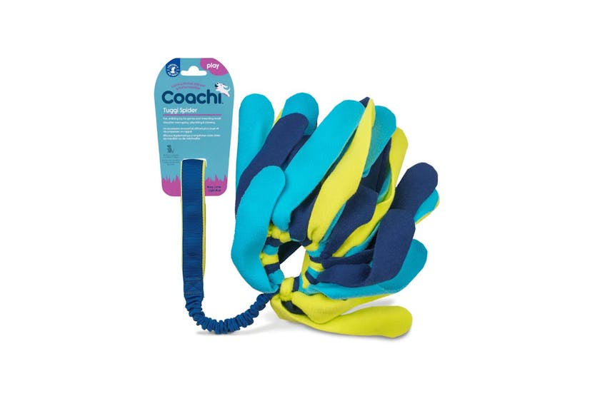 Company Of Animals Pei-267928 - Coa Coachi Tuggi Spider Navy Company Of Animals Pei-267928 - Coa Coachi Tuggi Spider Navy