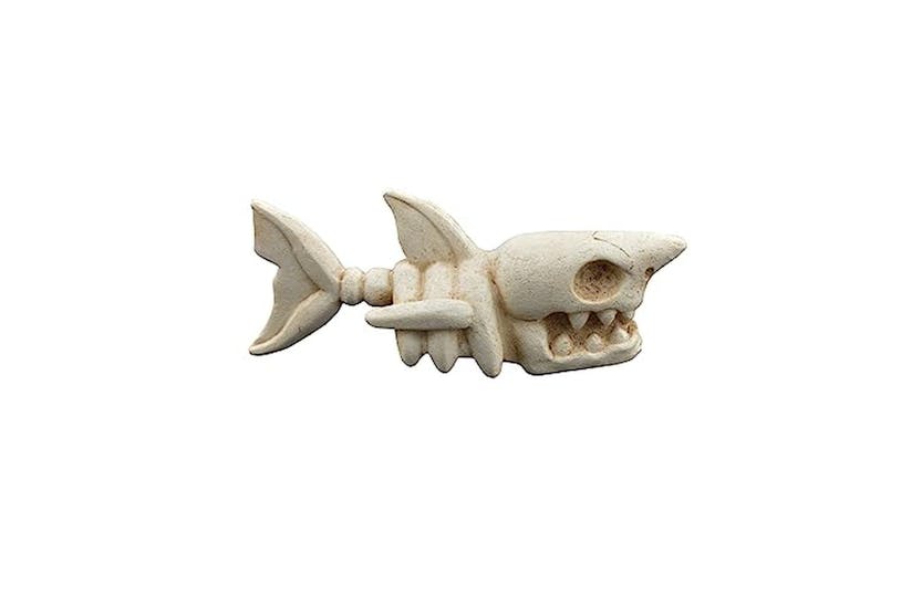 Betta Pei-268138 - Betta Small Shark Skeleton Betta Pei-268138 - Betta Small Shark Skeleton