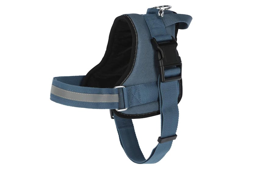 Kerbl Ker-80210 - Harness Maestro 2.0, Petrol 15mm X 45-60cm Kerbl Ker-80210 - Harness Maestro 2.0, Petrol 15mm X 45-60cm