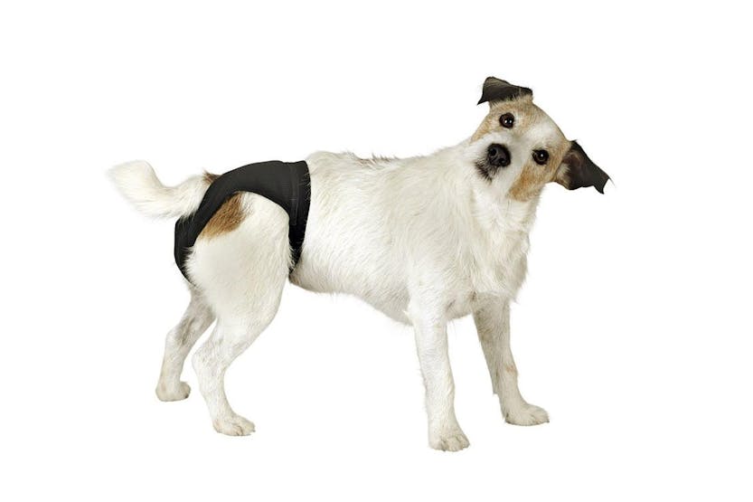 Kerbl Pet Ker-83441 - Luxury Pant Black, Size 3 Kerbl Pet Ker-83441 - Luxury Pant Black, Size 3