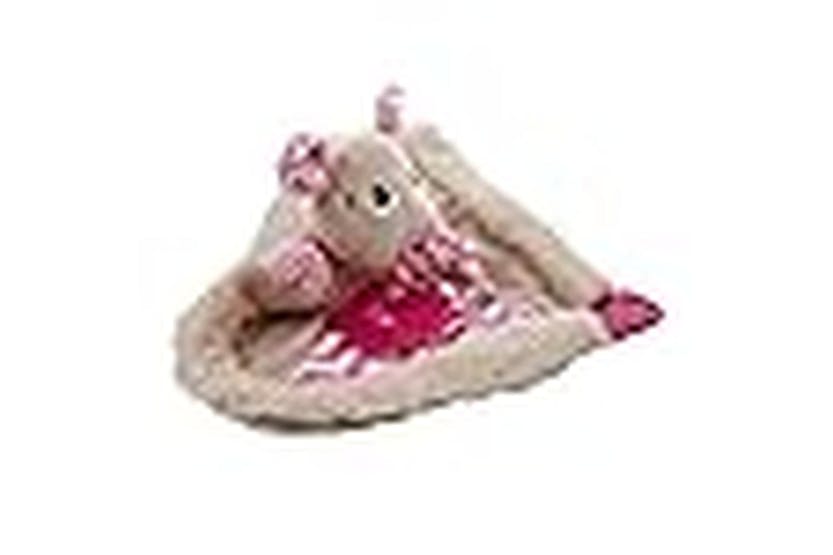 All For Paws Pei-31250 - All For Paws Little Buddy Blanky Pi All For Paws Pei-31250 - All For Paws Little Buddy Blanky Pi