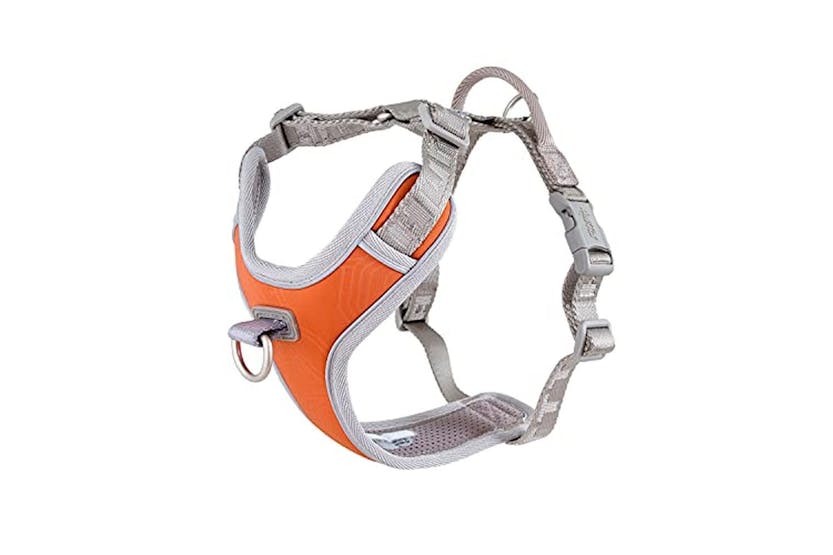 Hurtta Pei-934061 - Hurtta Venture No-pull Harness Buckthorn Hurtta Pei-934061 - Hurtta Venture No-pull Harness Buckthorn