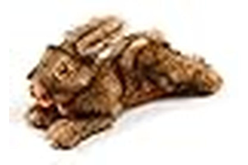 All For Paws Pei-30449 - All For Paws Classic Brown Rabbit S All For Paws Pei-30449 - All For Paws Classic Brown Rabbit S