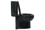 Vidaxl 141134 Wc Ceramic Toilet Bathroom Corner Toilet Black Vidaxl 141134 Wc Ceramic Toilet Bathroom Corner Toilet Black