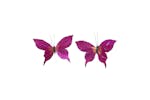 Occasions Gro-c5077bg - Butterfly 13cm Painted Pack Of 12 Bu Occasions Gro-c5077bg - Butterfly 13cm Painted Pack Of 12 Bu