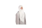Rubies | Rb-bw660 | Grey Dumbledore Wig Rubies | Rb-bw660 | Grey Dumbledore Wig