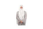 Rubies | Rb-bw660 | Grey Dumbledore Wig Rubies | Rb-bw660 | Grey Dumbledore Wig