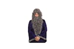 Rubies | Rb-bw573b | Wizard Grey Wig - Bag Rubies | Rb-bw573b | Wizard Grey Wig - Bag