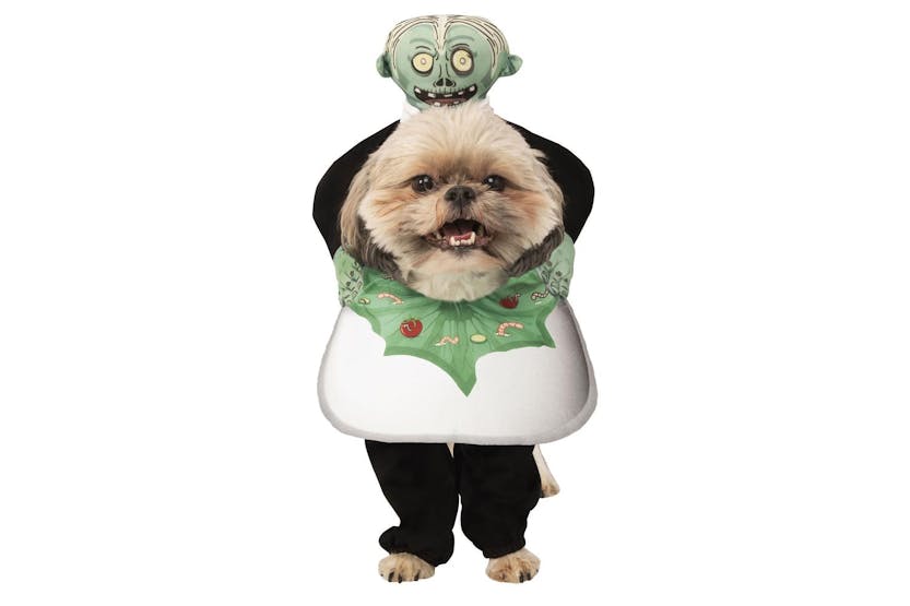 Rubies | Rb-200246lxl-xl | Pet Head On A Platter Xl Rubies | Rb-200246lxl-xl | Pet Head On A Platter Xl