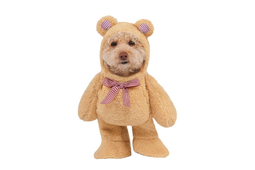 Rubies | Rb-580329-m | Walking Teddy Bear Pet Costume M Rubies | Rb-580329-m | Walking Teddy Bear Pet Costume M