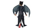 Rubies | Rb-610103-s | Toothless-night Fury S Rubies | Rb-610103-s | Toothless-night Fury S