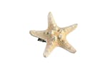 Rubies | Rb-x75002 | Mermaid Starfish Hairclip Fancy Dress Female Hair Accessory Rubies | Rb-x75002 | Mermaid Starfish Hairclip Fancy Dress Female Hair Accessory