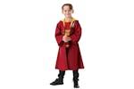 Rubies | Rb-300693-1112 | Hrp - Quidditch Robe Child 1112 Rubies | Rb-300693-1112 | Hrp - Quidditch Robe Child 1112