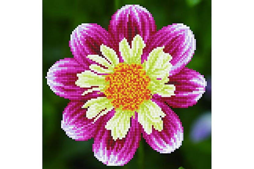 Diamond Dotz Gro-dd5.040 - Daisy A Day - Diamond Painting Ki Diamond Dotz Gro-dd5.040 - Daisy A Day - Diamond Painting Ki