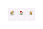 Vervaco Gro-pn-0169664 - Counted Cross Stitch Kit Greetings Vervaco Gro-pn-0169664 - Counted Cross Stitch Kit Greetings
