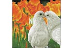 Diamond Dotz Gro-dd5.077 - Kissing Doves - Diamond Painting Diamond Dotz Gro-dd5.077 - Kissing Doves - Diamond Painting