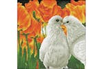 Diamond Dotz Gro-dd5.077 - Kissing Doves - Diamond Painting Diamond Dotz Gro-dd5.077 - Kissing Doves - Diamond Painting