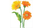 Diamond Dotz Gro-dd6.035 - Standing Tall - Diamond Painting Diamond Dotz Gro-dd6.035 - Standing Tall - Diamond Painting