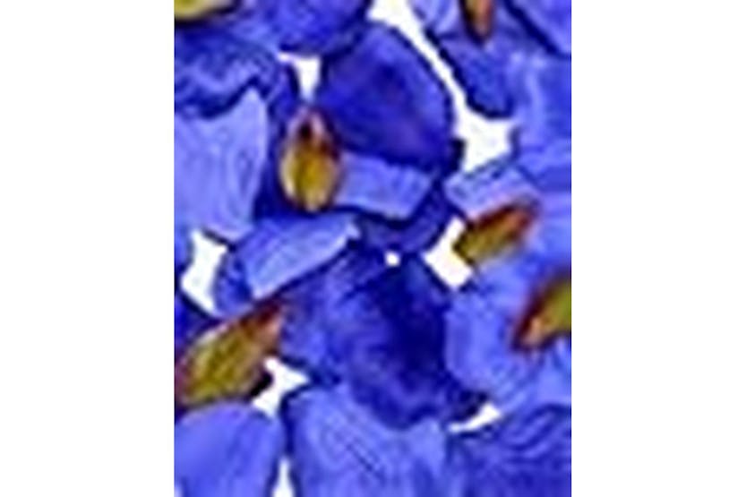 Occasions Gro-b1504na - Rose Petal Box - Rose Petals Pack Of Occasions Gro-b1504na - Rose Petal Box - Rose Petals Pack Of