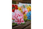 Vervaco Gro-pn-0184990 - Cushion Cful Flowers - Cross Stitch Vervaco Gro-pn-0184990 - Cushion Cful Flowers - Cross Stitch