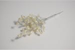 Occasions Gro-b1973iv\sl - Pick Pearl Branch 8mm Pack Of 1 I Occasions Gro-b1973iv\sl - Pick Pearl Branch 8mm Pack Of 1 I