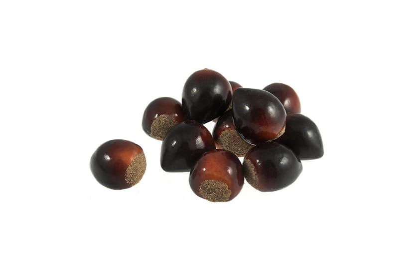 Occasions Gro-bcb2335 - Horse Chestnuts Pk24 - Horse Chestnu Occasions Gro-bcb2335 - Horse Chestnuts Pk24 - Horse Chestnu
