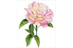 Diamond Dotz Gro-dd5.069 - Pink Rose - Diamond Painting Kit Diamond Dotz Gro-dd5.069 - Pink Rose - Diamond Painting Kit