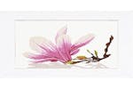Lanarte Gro-pn-0008304 - Magnolia Wflower - Counted Cross St Lanarte Gro-pn-0008304 - Magnolia Wflower - Counted Cross St