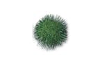 Trimits Gro-pp64 - Pom-poms 1in Pk100 - Pom Poms 25cm Metall Trimits Gro-pp64 - Pom-poms 1in Pk100 - Pom Poms 25cm Metall