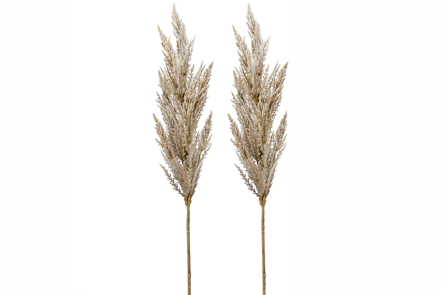 Pampas Grass Spray Cream 92 cm Bundle x2 Harvey Norman Northern Ireland