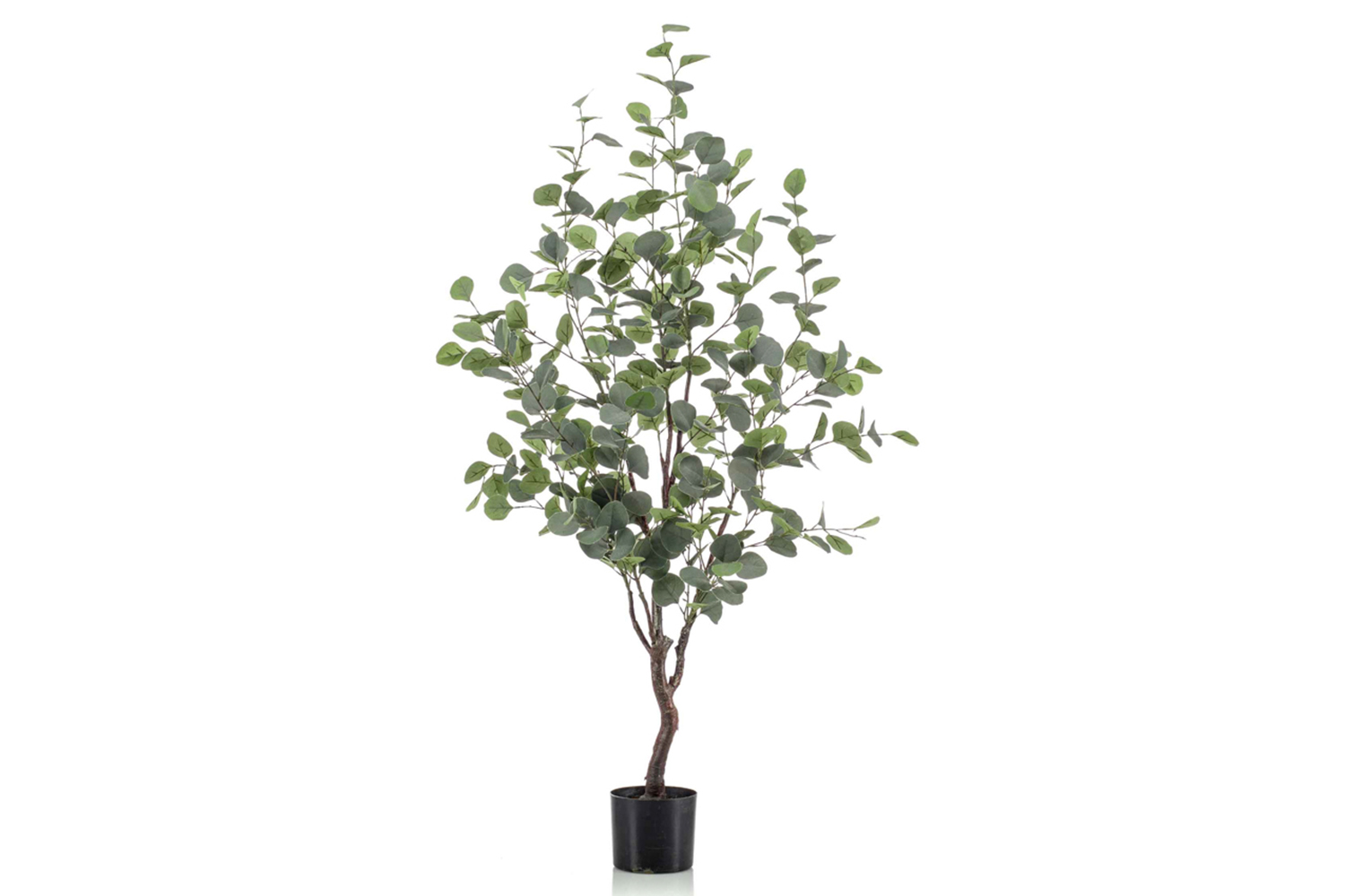 Eucalyptus Tree 120 cm Harvey Norman Northern Ireland