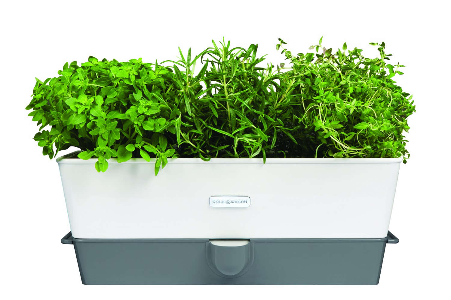 Cole & Mason Triple Herb Keeper Harvey Norman Northern Ireland