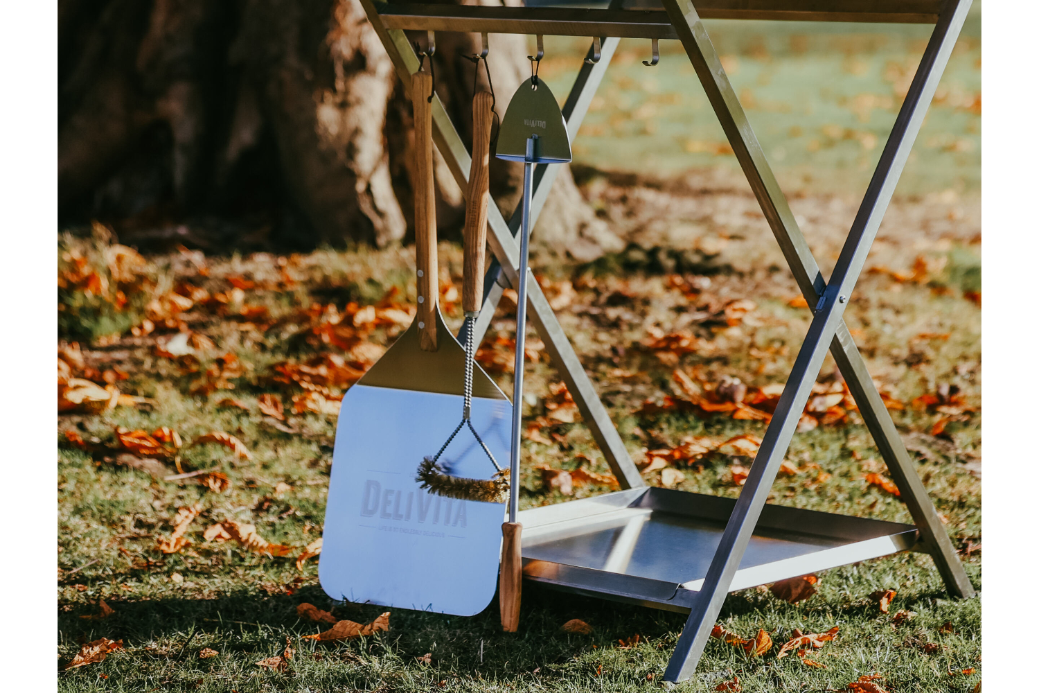 Delivita Starter Collection