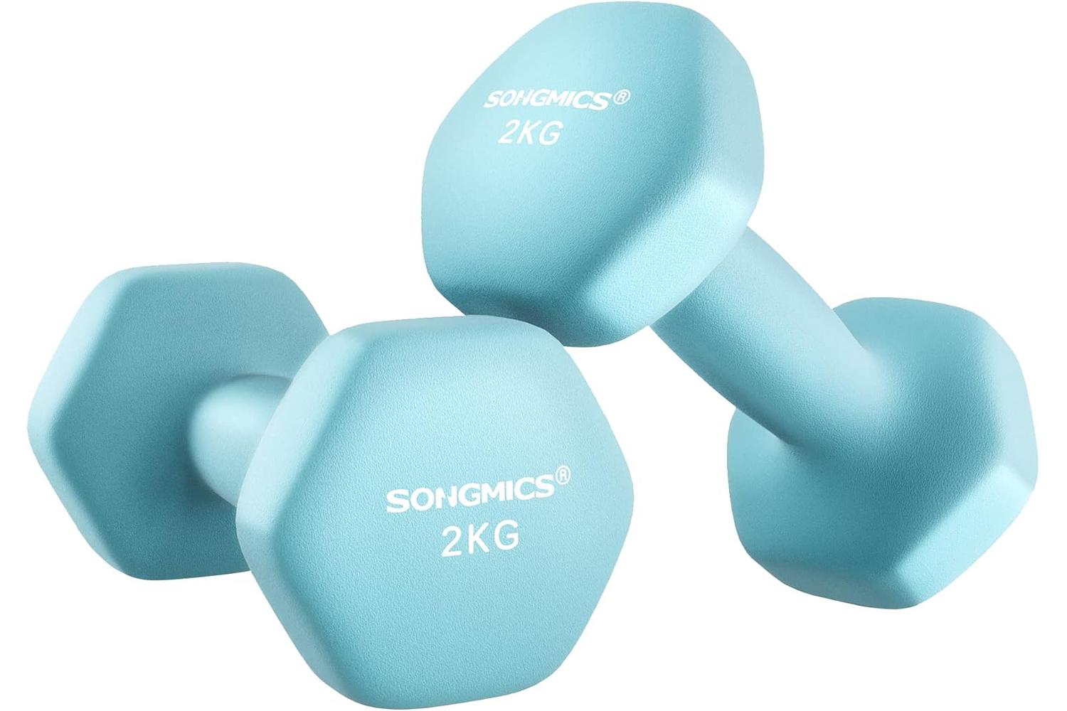 Songmics Syl904q01 Dumbbell, High-quality Neoprene Coat, Fitness Equipment, Free Weights For Muscle Building