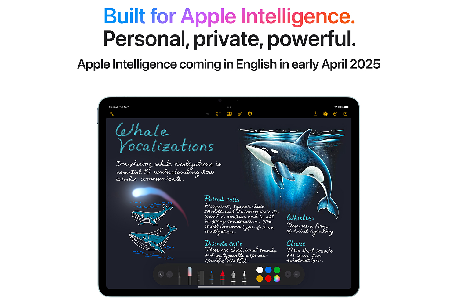 13" iPad Air M3 Chip | 256GB | Blue 2025