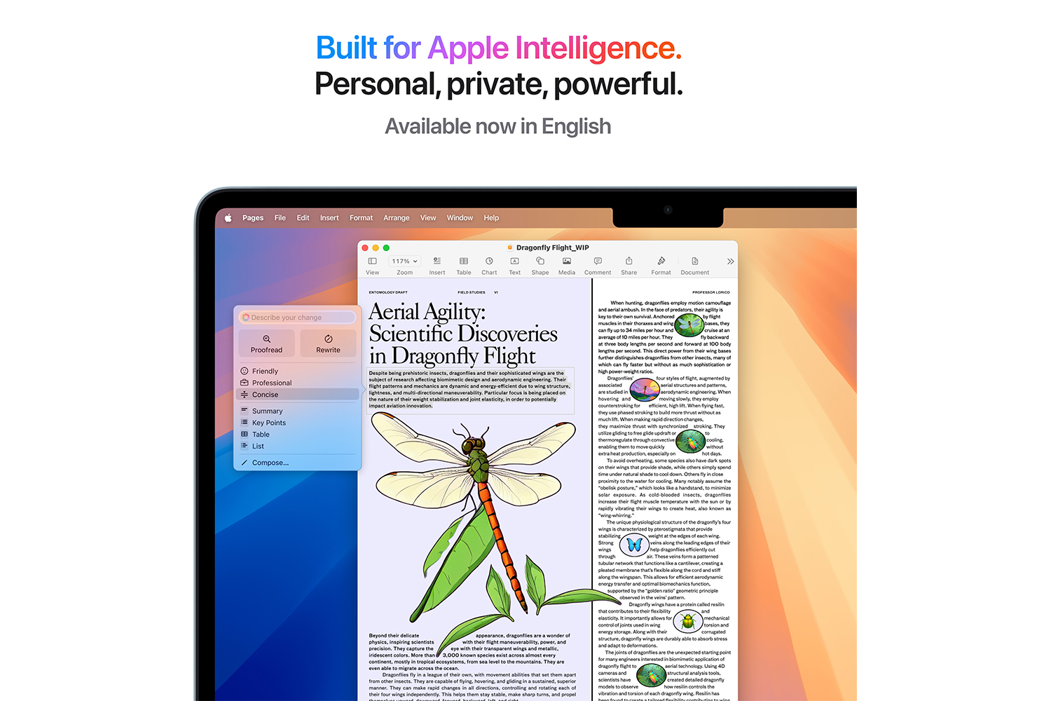 MacBook Air 13.6" | M4 | 10-Core CPU | 16GB | 256GB | Midnight (2025)