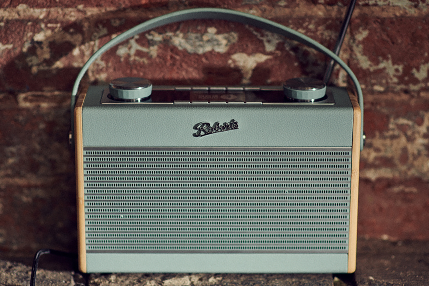 Roberts Rambler Max Radio | Duck Egg