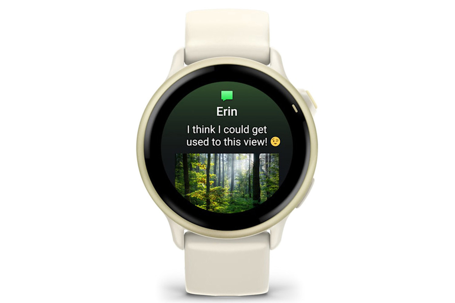 Garmin Vivoactive 6 | Bone